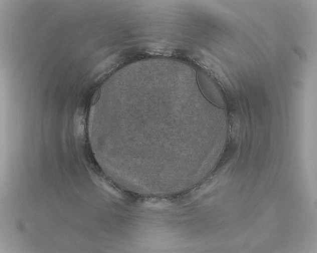X0000115491154200911271343