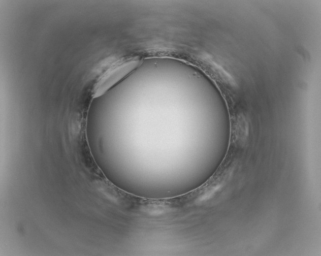 X0000115491157200911271343