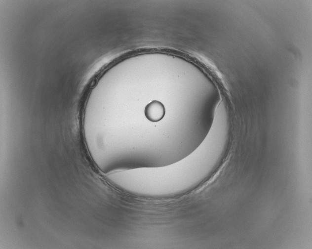 X0000115491167200911271343