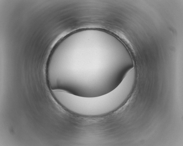 X0000115491181200911271342