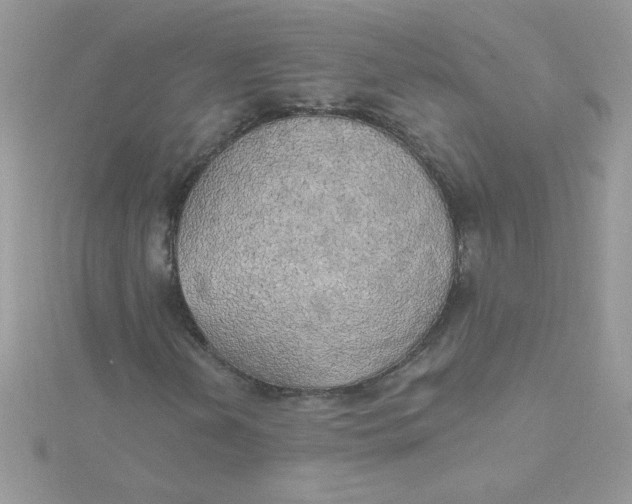 X0000115491202200911271342