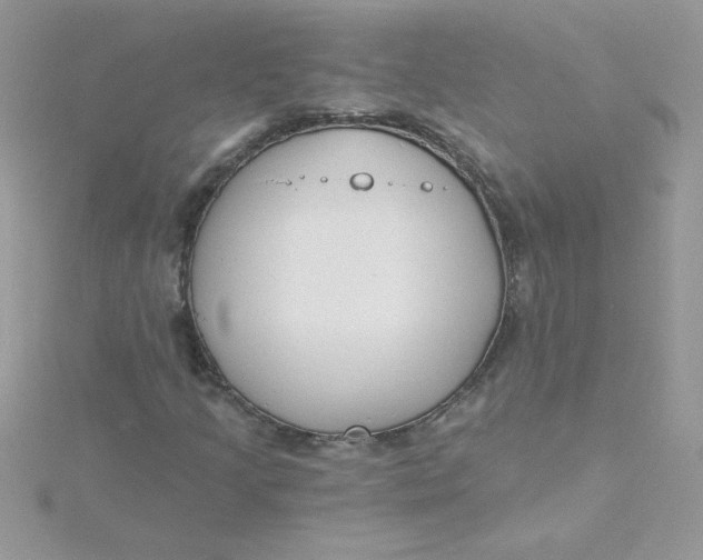 X0000115491205200911271342