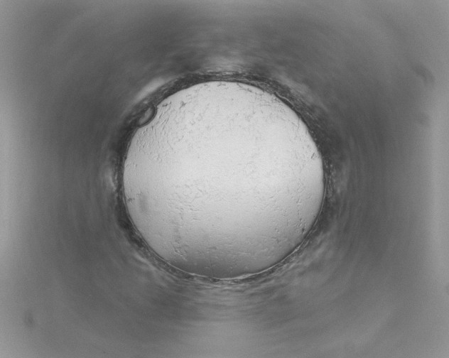 X0000115491206200911271342