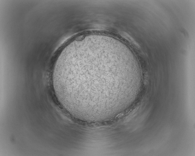 X0000115491208200911271342
