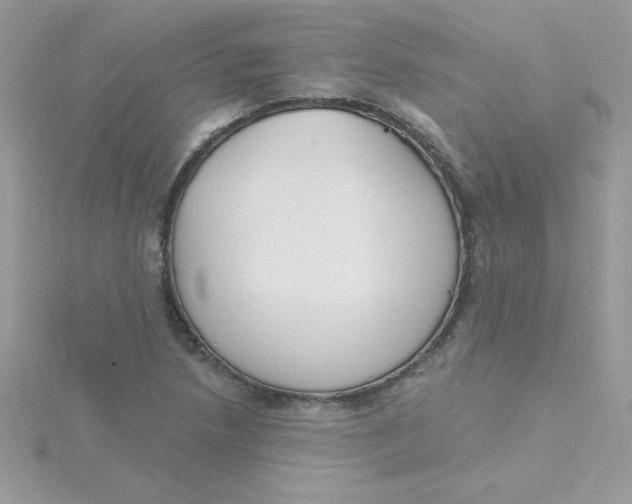 X0000115491218200911271342