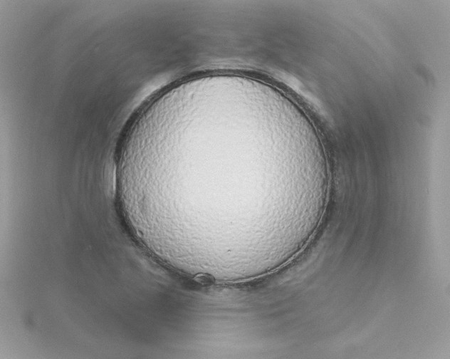 X0000115491221200911271342