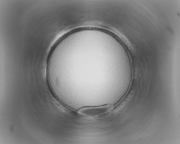 X0000115491224200911271342