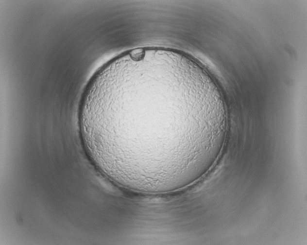 X0000115491230200911271342