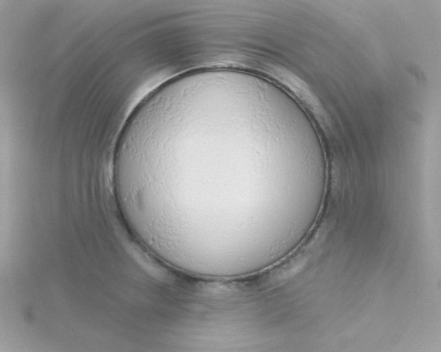 X0000115491234200911271342