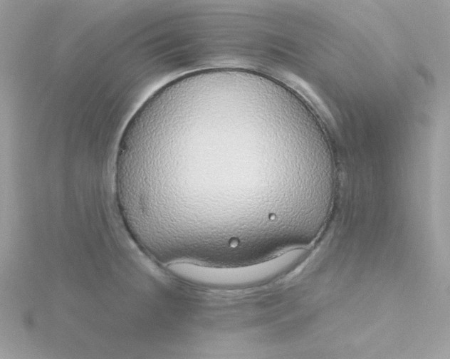 X0000115491236200911271342