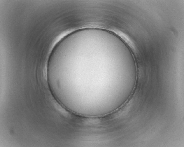X0000115491238200911271342