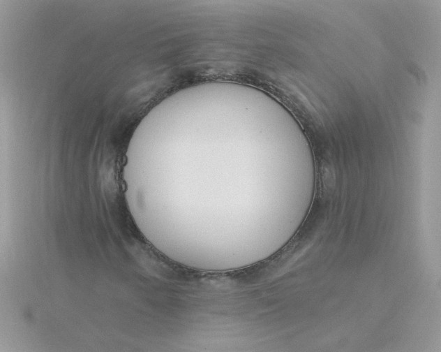 X0000115491250200911271342
