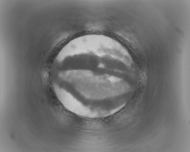 X0000115491254200911271342