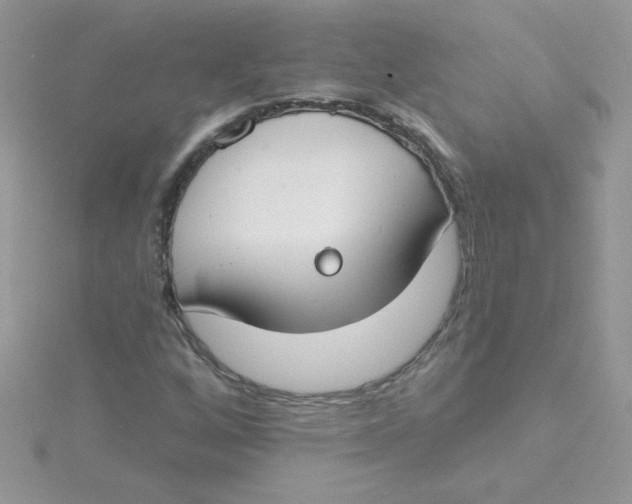 X0000115491256200911271342