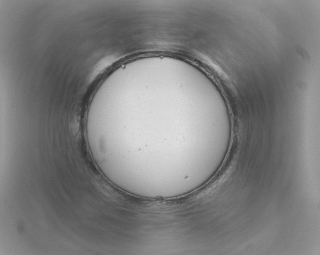 X0000115491259200911271341