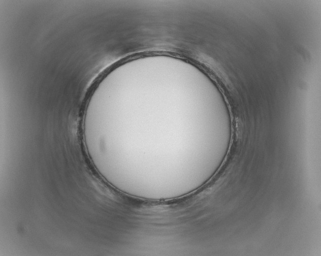 X0000115491260200911271341