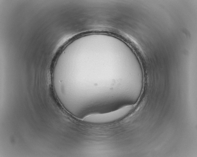 X0000115491267200911271341