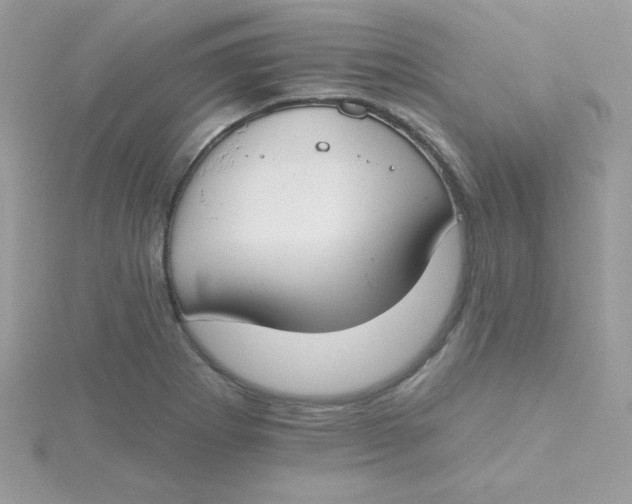 X0000115491273200911271341