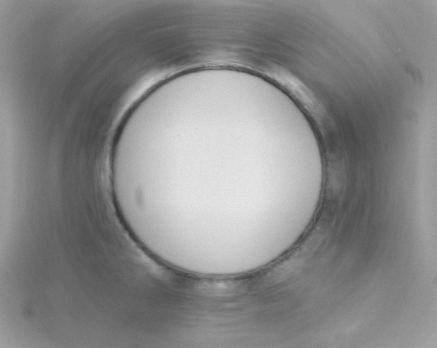 X0000115491286200911271341