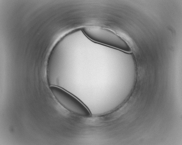 X0000115491288200911271341