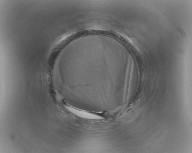 X0000115491303200911271340