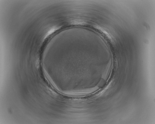 X0000115491306200911271341