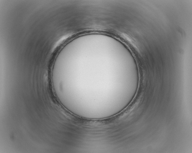 X0000115491307200911271341