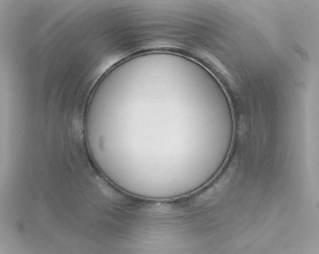 X0000115491321200911271341
