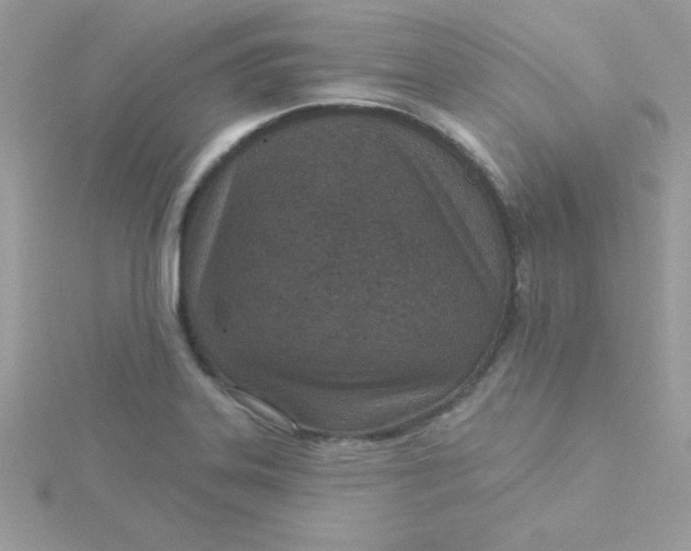 X0000115491323200911271341