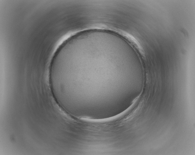 X0000115491326200911271341