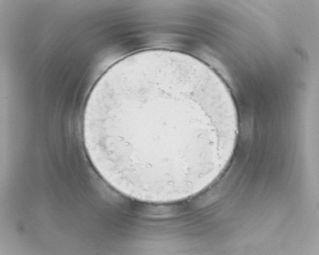 X0000115491338200911271341