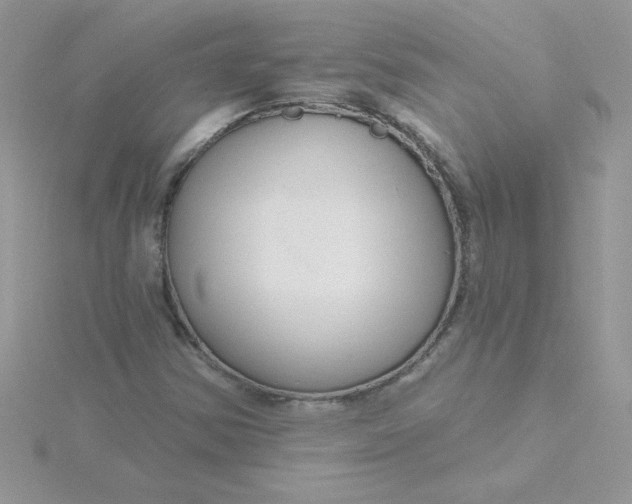 X0000115491354200911271340