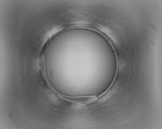 X0000115491357200911271340