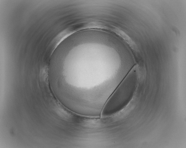 X0000115491369200911271340