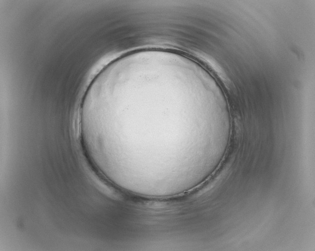 X0000115491371200911271340