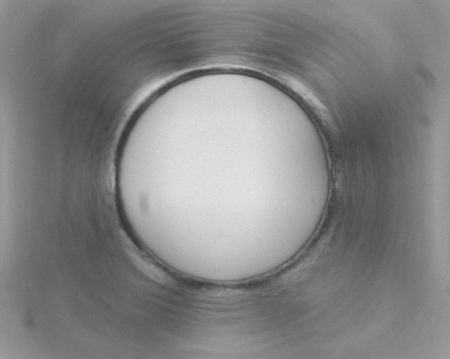 X0000115491372200911271340