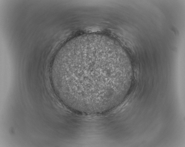 X0000115491393200911271339