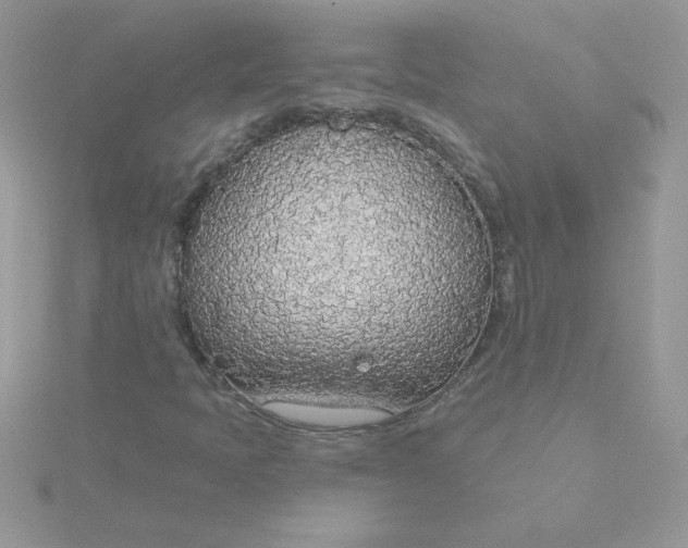 X0000115491397200911271339