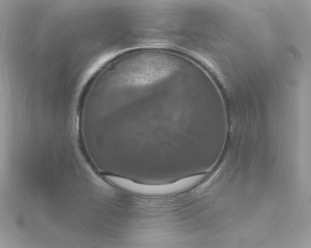 X0000115491414200911271339