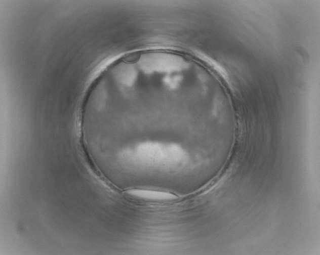 X0000115491415200911271339