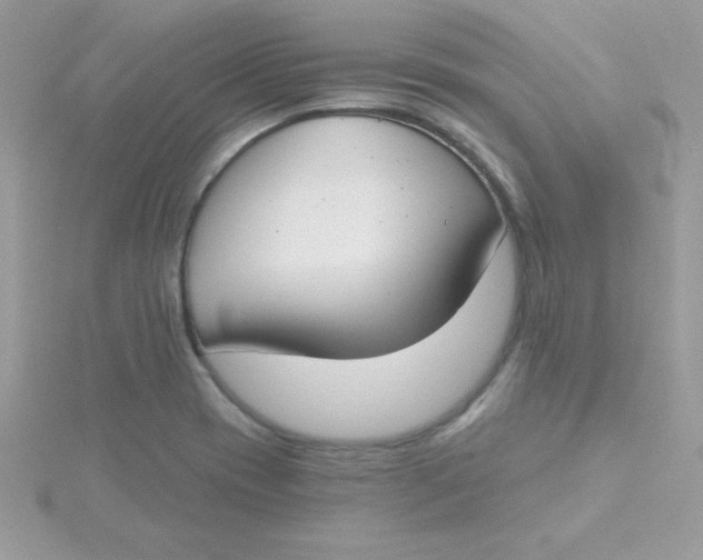 X0000115491417200911271339