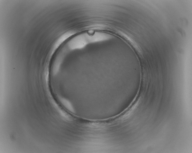 X0000115491418200911271339