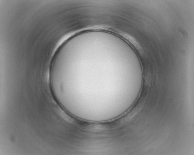 X0000115491420200911271340