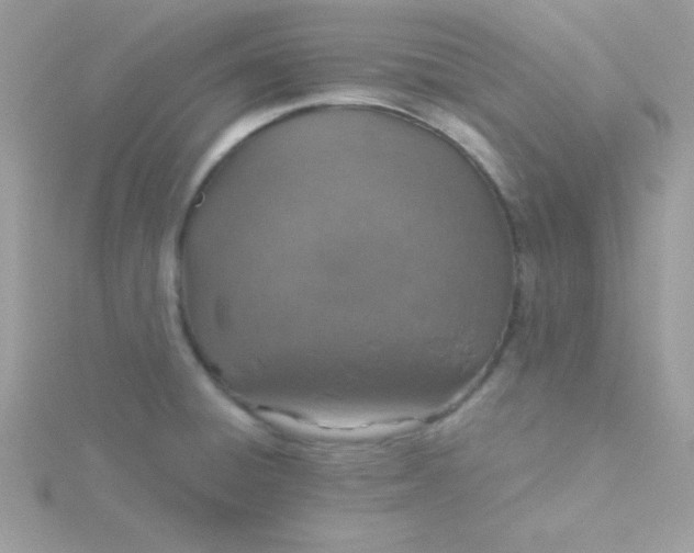 X0000115491428200911271340