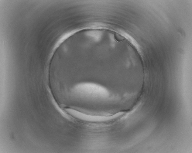 X0000115491429200911271340