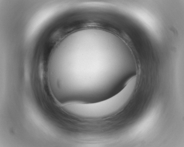 X0000115491438200911271340