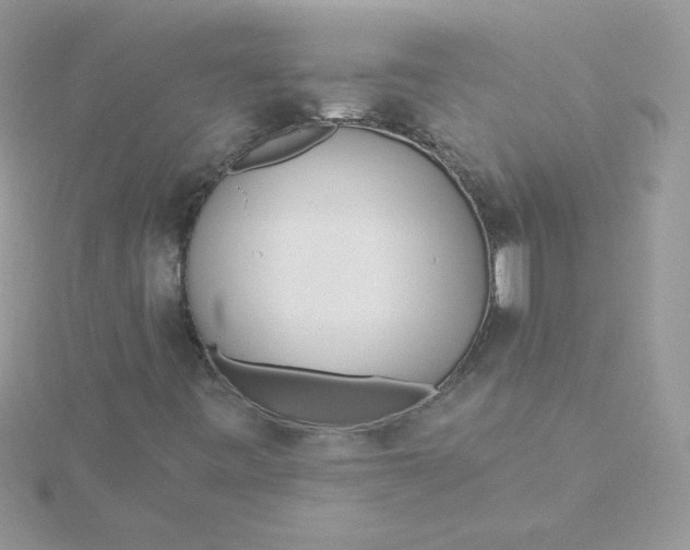 X0000115491443200911271339