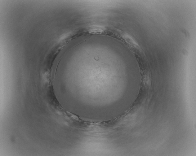 X0000115491445200911271339