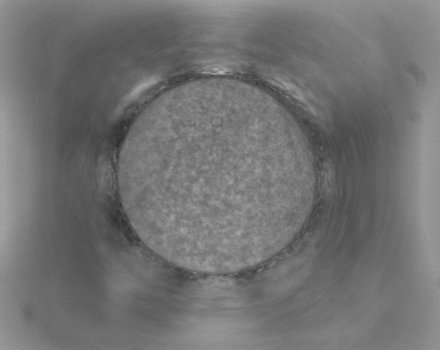 X0000115491446200911271339