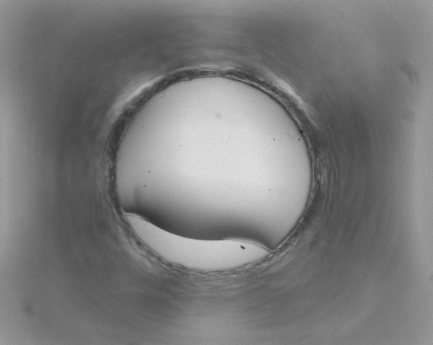 X0000115491448200911271339